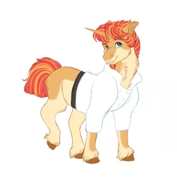 Size: 1500x1500 | Tagged: safe, artist:uunicornicc, derpibooru import, oc, pony, unicorn, clothes, male, simple background, solo, stallion, white background