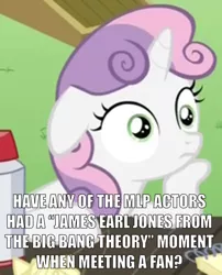 Size: 908x1125 | Tagged: safe, derpibooru import, edit, edited screencap, screencap, sweetie belle, pony, unicorn, ponyville confidential, caption, cropped, exploitable meme, female, filly, floppy ears, image macro, james earl jones, meme, meta, obligatory pony, reference, solo, sudden clarity sweetie belle, text, the big bang theory, thinking