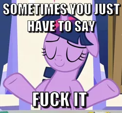 Size: 628x582 | Tagged: safe, derpibooru import, edit, edited screencap, screencap, twilight sparkle, twilight sparkle (alicorn), alicorn, pony, sparkle's seven, caption, cropped, eyes closed, female, floppy ears, image macro, learn vulgar, mare, meme, shrug, smiling, solo, text, vulgar