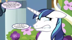 Size: 993x559 | Tagged: a canterlot wedding, awkward, derpibooru import, dialogue, edit, edited screencap, embarrassed, faic, female, floppy ears, flower, good clean married sex, implied flurry heart, implied princess cadance, implied sex, male, princess cadance, screencap, sex, shining armor, shiningcadance, shipping, speech bubble, straight, suggestive, this will end in the talk