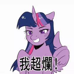 Size: 1046x1043 | Tagged: artist needed, safe, derpibooru import, twilight sparkle, twilight sparkle (alicorn), alicorn, pony, chinese text, female, grin, mare, meme, ponified meme, simple background, smiling, solo, thumbs up, white background, wing gesture, wing hands, wings