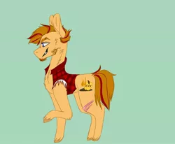 Size: 1024x844 | Tagged: safe, artist:hawklesscorruption, derpibooru import, oc, oc:whiskey apple, earth pony, pony, chest fluff, clothes, facial hair, goatee, magical gay spawn, male, offspring, parent:big macintosh, parent:rockhoof, parents:rockmac, scar, sleeveless, stallion, trans stallion, vest