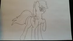 Size: 3264x1836 | Tagged: artist:firestarter, derpibooru import, looking at you, monochrome, rainbow dash, rear view, safe, sketch, traditional art