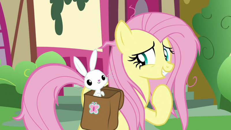 Size: 1920x1080 | Tagged: safe, derpibooru import, screencap, angel bunny, fluttershy, pony, rabbit, she talks to angel, animal, bag, duo, female, male, mare, messy mane, raised hoof, saddle bag