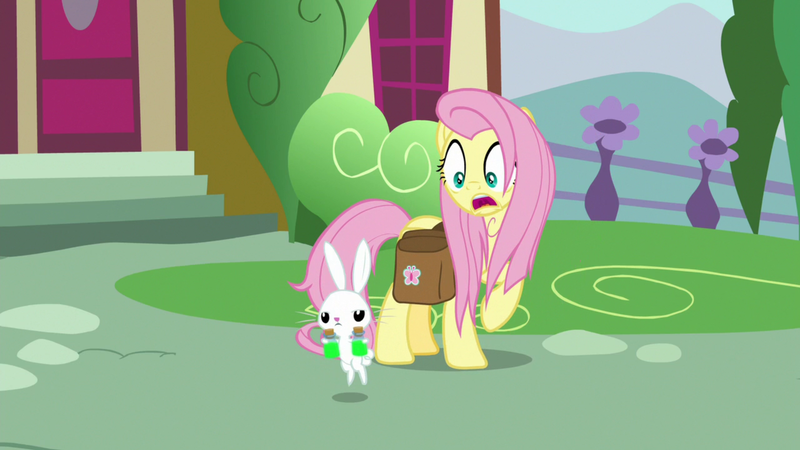 Size: 1920x1080 | Tagged: safe, derpibooru import, screencap, angel bunny, fluttershy, pegasus, pony, rabbit, she talks to angel, animal, bag, bottle, duo, female, male, mare, messy mane, potion, saddle bag