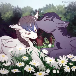 Size: 800x800 | Tagged: safe, artist:lunarlacepony, derpibooru import, oc, oc:silver strings, oc:uchawi, unofficial characters only, pegasus, pony, beautiful, braid, commission, cute, flower, gentle, kissing, lying, nature, outdoors, piercing, prone, ych result