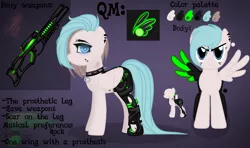 Size: 4400x2600 | Tagged: safe, artist:minachu, derpibooru import, oc, oc:air strike, unofficial characters only, cyborg, pegasus, pony, amputee, artificial wings, augmented, collar, cross, ear piercing, earring, engrish, female, freckles, gun, jewelry, mare, piercing, prosthetic limb, prosthetic wing, prosthetics, reference sheet, rifle, scar, sniper rifle, solo, spiked collar, weapon, wings