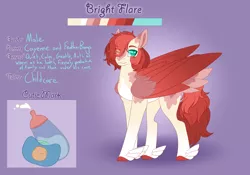 Size: 3500x2454 | Tagged: safe, artist:clay-bae, derpibooru import, oc, oc:bright flare, pegasus, pony, eye clipping through hair, feathered fetlocks, male, offspring, parent:cayenne, parent:feather bangs, solo, stallion