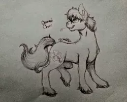 Size: 1024x818 | Tagged: artist needed, safe, derpibooru import, oc, oc:charmed clover, unofficial characters only, earth pony, pony, earth pony oc, lineart, looking back, male, signature, solo, stallion, straw in mouth, traditional art, unshorn fetlocks