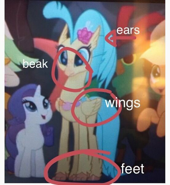 Size: 574x623 | Tagged: april fools, circled, cropped, derpibooru import, edit, edited screencap, hippogriff, my little pony: the movie, princess skystar, safe, screencap