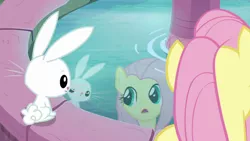 Size: 1920x1080 | Tagged: safe, derpibooru import, screencap, angel bunny, fluttershy, pony, rabbit, she talks to angel, animal, body swap, duo, female, fountain, male, mare, reflection, water