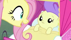 Size: 1920x1080 | Tagged: safe, derpibooru import, screencap, angel bunny, cream puff, fluttershy, pony, she talks to angel, baby, baby carriage, baby pony, body swap, female, mare