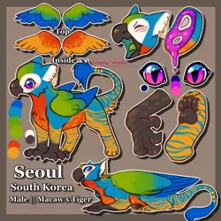 Size: 4000x4000 | Tagged: safe, artist:rehqwq, derpibooru import, oc, oc:seoul, big cat, bird, gryphon, hybrid, macaw, original species, parrot, tiger, griffon oc, male, rehqwq, seoul