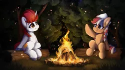 Size: 1920x1080 | Tagged: safe, artist:hitbass, derpibooru import, oc, oc:ember, oc:stroopwafeltje, unofficial characters only, earth pony, pony, unicorn, braid, campfire, commission, fire, forest, log, milkhat, night, tree