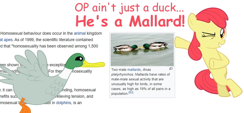 Size: 1068x495 | Tagged: apple bloom, bird, derpibooru import, duck, homosexuality, mallard, op, safe, wikipedia