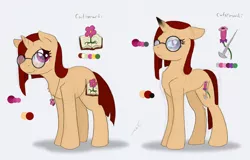 Size: 1230x786 | Tagged: safe, artist:ravenpuff, deleted from derpibooru, derpibooru import, oc, oc:flower basket, unofficial characters only, pony, unicorn, book, duality, female, flower, frown, glasses, mare, needle, older, reference sheet, smiling