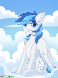 Size: 1454x1929 | Tagged: safe, artist:redchetgreen, derpibooru import, oc, oc:rainy, pegasus, pony, cloud, looking at you, male, sitting, solo, wings