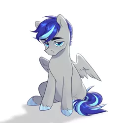 Size: 1024x1024 | Tagged: safe, artist:ebsatan, derpibooru import, oc, oc:aspen volare, pegasus, pony, male, stallion