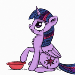 Size: 540x540 | Tagged: safe, artist:el-yeguero, color edit, colorist:firenhooves, derpibooru import, edit, twilight sparkle, twilight sparkle (alicorn), alicorn, pony, animated, behaving like a dog, bowl, colored, cute, female, food bowl, frown, glare, grumpy, looking up, mare, pony pet, raised hoof, simple background, sitting, solo, twiabetes, white background