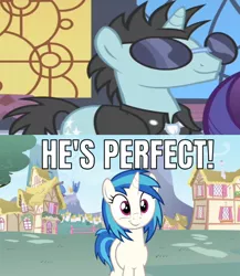 Size: 642x739 | Tagged: safe, derpibooru import, edit, edited screencap, screencap, neon lights, rising star, vinyl scratch, pony, unicorn, sweet and elite, caption, female, image macro, male, mare, meme, shipping, stallion, straight, text, vinylights