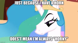 Size: 888x499 | Tagged: suggestive, derpibooru import, edit, edited screencap, screencap, princess celestia, alicorn, pony, lesson zero, caption, female, image macro, mare, meme, princess celestia is not amused, pun, solo, text