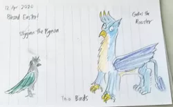 Size: 3605x2240 | Tagged: artist:horsesplease, birb, bird, derp, derpibooru import, doodle, gallus, gallus the rooster, lined paper, pigeon, pun, safe, stygian, traditional art