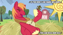 Size: 889x500 | Tagged: safe, derpibooru import, big macintosh, earth pony, pony, hard to say anything, banjo, country music, hank williams, hank williams jr, kris kristofferson, musical instrument, vulgar