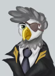 Size: 2480x3404 | Tagged: safe, artist:tekggd, derpibooru import, oc, oc:schnabel sunglider, unofficial characters only, gryphon, equestria at war mod, bust, clothes, eyepatch, gray background, griffon oc, military uniform, portrait, simple background