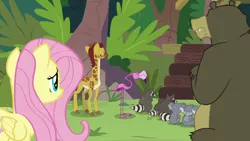 Size: 1920x1080 | Tagged: safe, derpibooru import, screencap, angel bunny, clementine, fluttershy, harry, scout (flamingo), smoky, smoky jr., softpad, bear, bird, flamingo, giraffe, koala, pegasus, pony, raccoon, she talks to angel, asking for help, body swap, cloven hooves, crossed arms, displeased, eyes closed, female, folded wings, looking away, male, mare, mates, not fluttershy, rejection, sweet feather sanctuary, wings