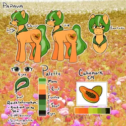 Size: 2000x2000 | Tagged: safe, artist:poofindi, derpibooru import, oc, oc:papaya, unofficial characters only, earth pony, reference sheet