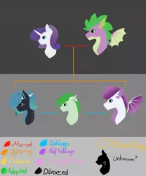 Size: 1024x1229 | Tagged: safe, artist:fluffy-fillies, derpibooru import, rarity, spike, oc, dracony, dragon, hybrid, pony, family tree, female, interspecies offspring, male, offspring, parent:rarity, parent:spike, parents:sparity, shipping, sparity, straight