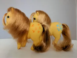 Size: 4032x3024 | Tagged: butterscotch (g1), comparison, derpibooru import, g1, irl, melocoton, photo, piggy pony, safe, spain, toy, variant