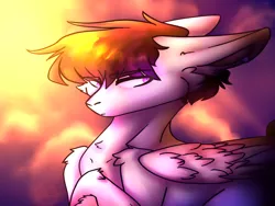 Size: 1600x1200 | Tagged: safe, artist:animatorfun, derpibooru import, oc, oc:rivaille, unofficial characters only, pegasus, pony, cheek fluff, crossed hooves, ear piercing, eyebrows visible through hair, floppy ears, piercing, solo, wrong aspect ratio
