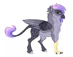 Size: 3550x2756 | Tagged: artist:venommocity, derpibooru import, female, hippogriff, magical lesbian spawn, oc, oc:bellatrix, offspring, parent:gabby, parents:gabbelle, parent:sweetie belle, safe, simple background, solo, white background