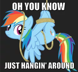 Size: 1224x1141 | Tagged: safe, artist:stinkehund, derpibooru import, edit, vector edit, rainbow dash, pegasus, pony, fall weather friends, bad pun, black background, caption, image macro, meme, pun, reenactment in the comments, rope, simple background, solo, spongebob reference, spongebob squarepants, text, upside down, vector, wet painters