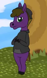 Size: 534x875 | Tagged: safe, artist:wyntermoon, derpibooru import, oc, oc:wyntermoon, animal crossing, beanie, blushing, clothes, crossover, hat, hoodie, looking at you, male, stallion, talking to viewer, text, tree