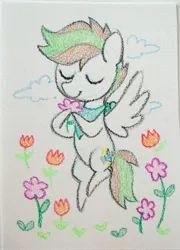 Size: 2681x3718 | Tagged: safe, artist:dawnfire, derpibooru import, oc, unofficial characters only, pegasus, pony, flower, solo, traditional art