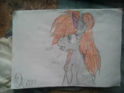 Size: 2592x1944 | Tagged: safe, artist:terminalhash, derpibooru import, oc, oc:ravery, unofficial characters only, demon, demon pony, original species, pony, solo, traditional art