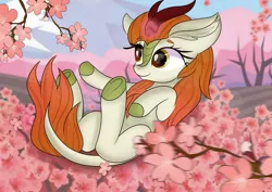 Size: 2560x1810 | Tagged: artist:janelearts, autumn blaze, awwtumn blaze, cherry blossoms, cute, derpibooru import, ear fluff, flower, flower blossom, glowing horn, horn, kirin, looking at something, on back, outdoors, reaching, safe, sakura tree, smiling, solo, three quarter view