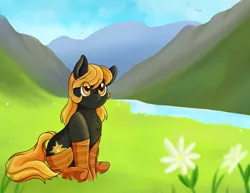 Size: 3300x2550 | Tagged: safe, artist:coffiheart, derpibooru import, oc, oc:golden glory, unofficial characters only, earth pony, pony, clothes, flower, scenery, sitting, smiling, socks, solo, striped socks