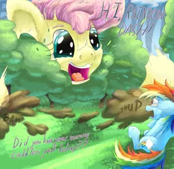 Size: 2020x1966 | Tagged: :3, artist:firefanatic, big ears, big grin, cute, derpibooru import, destruction, dialogue, dust cloud, female, fluffy, fluttershy, frightened, giantess, grin, macro, messy mane, nostrils, onomatopoeia, rainbow dash, safe, scared, shocked, size difference, smiling, sound effects, startled, tree