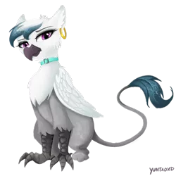 Size: 1181x1181 | Tagged: safe, artist:yuntaoxd, derpibooru import, oc, oc:izzy, unofficial characters only, gryphon, choker, collar, female, goth, gothic, griffon oc, paws, piercing, simple background, sitting, solo, talons, transparent background