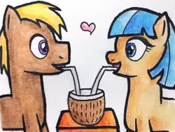 Size: 1980x1500 | Tagged: safe, artist:melisareb, derpibooru import, coco crusoe, coco pommel, earth pony, pony, coconut, crack shipping, female, food, heart, looking at each other, male, mare, name pun, pommelcrusoe, shipping, stallion, straight, traditional art