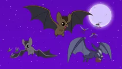 Size: 5399x3067 | Tagged: animal, artist:andoanimalia, artist:estories, bat, derpibooru import, fly, fly-der, flying, fruit bat, high res, hybrid, insect, moon, mosquito, night, open mouth, safe, show accurate, spider, spread wings, vampire fruit bat, wings