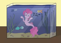 Size: 3508x2480 | Tagged: safe, artist:onlymeequestrian, derpibooru import, pinkie pie, fish, pony, seapony (g4), against glass, fish tank, glass, seaponified, seapony pinkie pie, species swap, trapped, underhoof, when she doesn't smile