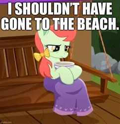 Size: 616x636 | Tagged: safe, derpibooru import, edit, edited screencap, screencap, unnamed character, unnamed pony, earth pony, pony, rainbow roadtrip, background pony, beach, blanket, bow, bowl, caption, coronavirus, covid-19, covidiots, cropped, female, food, hair bow, image macro, implied beach, mane bow, mare, porch, sad, sick, solo, soup, text