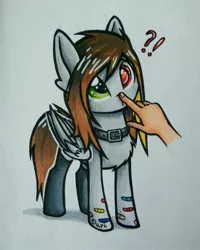 Size: 1352x1693 | Tagged: artist:dark lightning, boop, collar, derpibooru import, hand, heterochromia, oc, old art, pegasus, photo, safe, traditional art, unofficial characters only