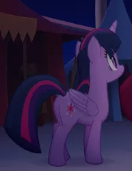 Size: 527x683 | Tagged: safe, derpibooru import, screencap, twilight sparkle, twilight sparkle (alicorn), alicorn, pony, my little pony: the movie, butt, cropped, female, folded wings, mare, night, plot, rear view, smiling, solo, wings