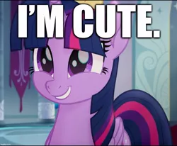 Size: 995x821 | Tagged: alicorn, bronybait, captain obvious, caption, cropped, cute, derpibooru import, edit, edited screencap, image macro, my little pony: the movie, safe, screencap, smiling, text, truth, twiabetes, twilight sparkle, twilight sparkle (alicorn)