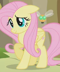 Size: 872x1042 | Tagged: safe, derpibooru import, screencap, fluttershy, parasprite, pegasus, pony, swarm of the century, cropped, eyelashes, raised hoof, smiling, solo